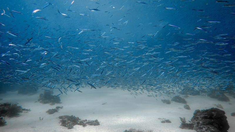 Laboratori scientifici